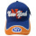 Gewaschene Baseballmütze mit Logo DC15